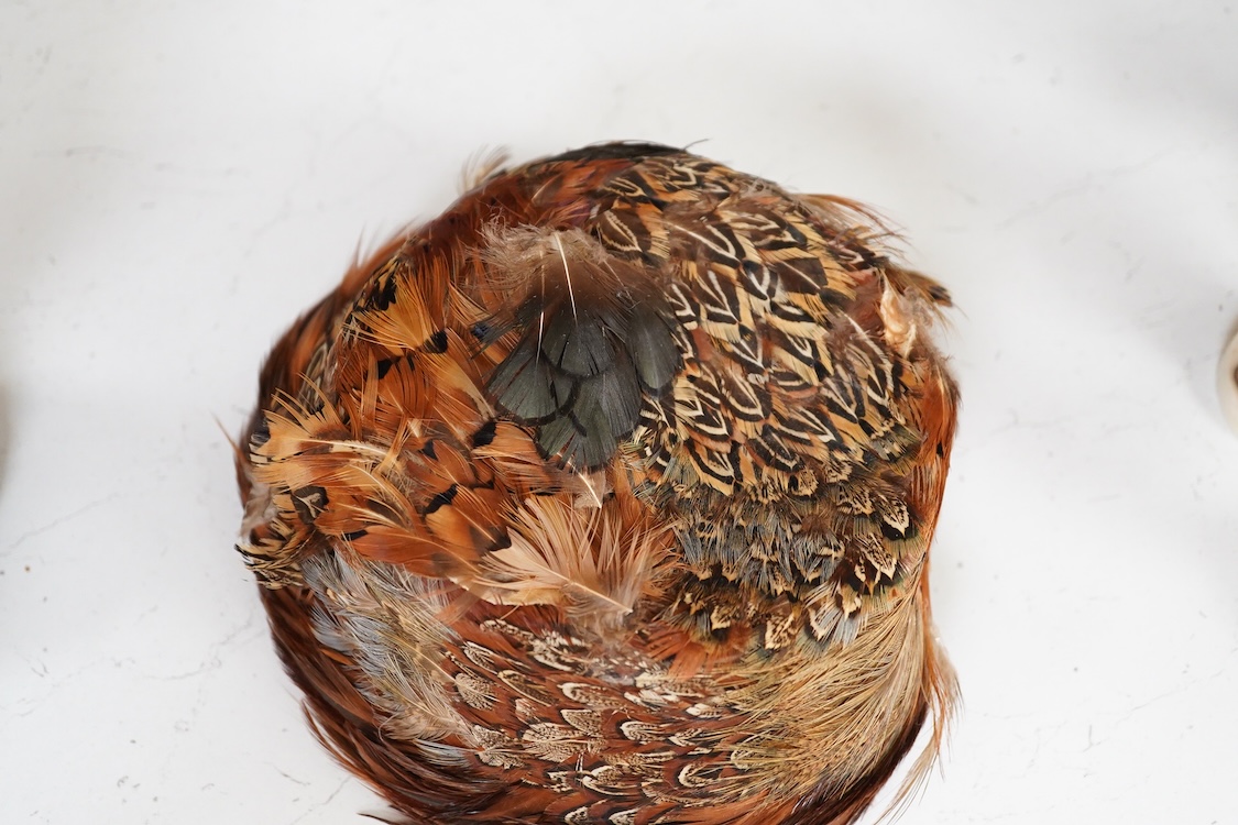 A decorative ladies feather hat